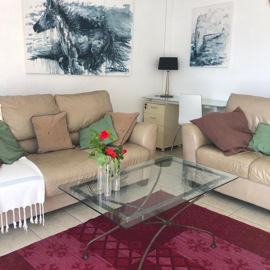 La Terrasse Daire Port Vendres Dış mekan fotoğraf